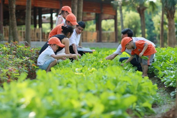 Dạy kỹ năng sống cho trẻ tại Thảo Viên Resort
