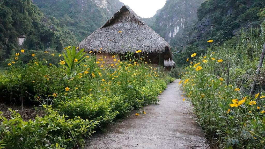 Ninh Bình Valley Homestay